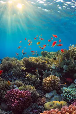 Природа, отдых и туризм