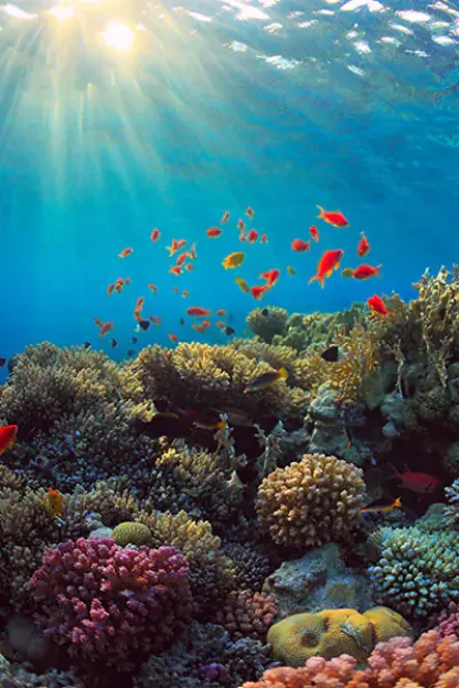 Nature, recreation and tourism