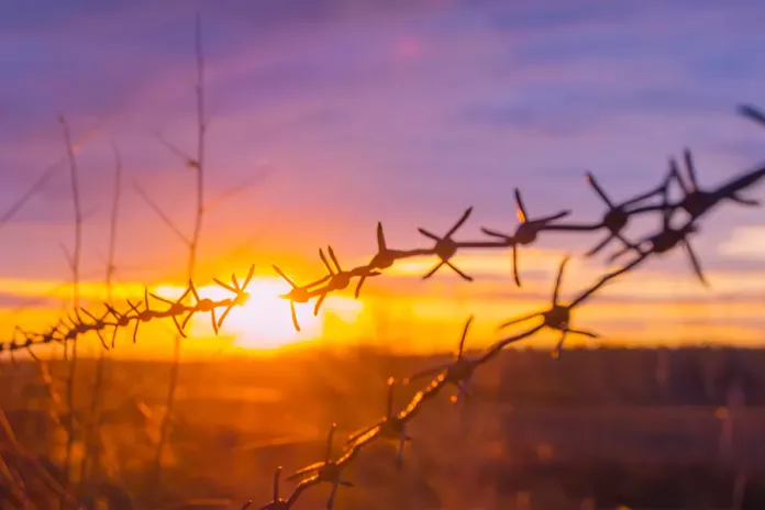 История колючей проволоки